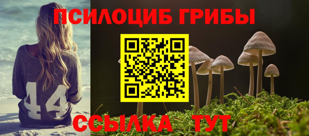 Галлюциногенные грибы GOLDEN TEACHER Родники